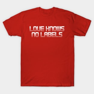 Love Knows No Labels – Equality and Inclusivity Statement T-Shirt